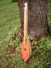 Strum Stick
