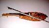 Teardrop Fiddle